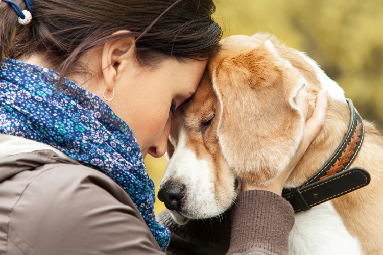 Tiergeschützte Therapie Hund welche Hunderassen für Therapiehund