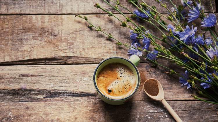 Zichorienkaffee gesund Vorteile koffeinfreie Kaffee Alternativen