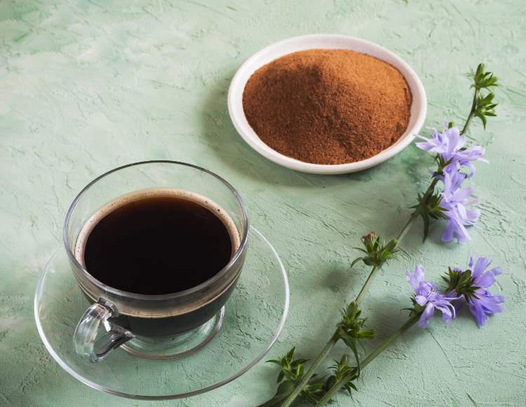 Zichorienkaffee selber machen Tipps gesunde Kaffee Alternativen