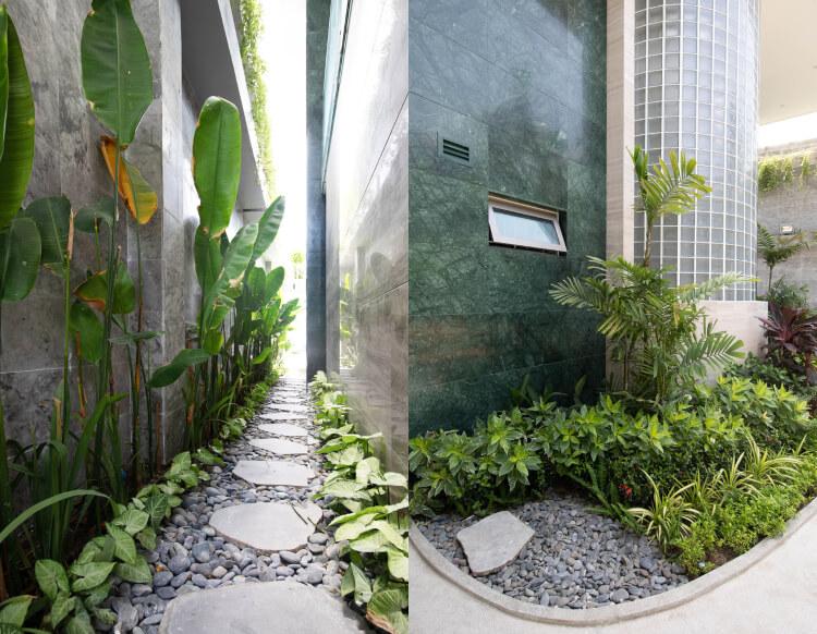 exotische Pflanzen im Garten einer modernen Villa in Vietnam