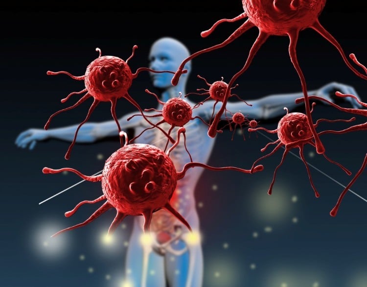 viren greifen menschlichen körper an immunsystem reaktion