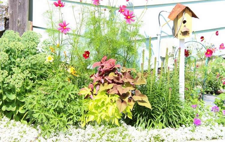 Place a flower bed in front of the house wall and decorate it with a bird house