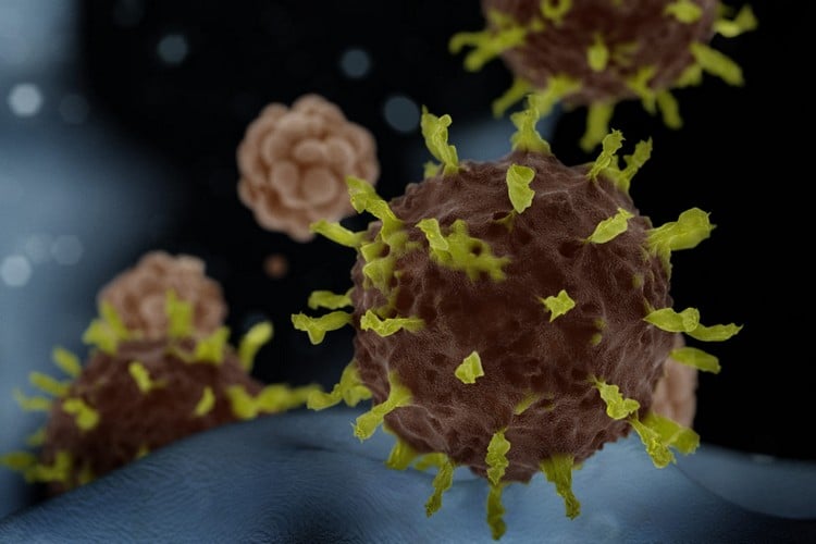 Coronavirus Ansteckung vorbeugen neue Studie gibt Antwort