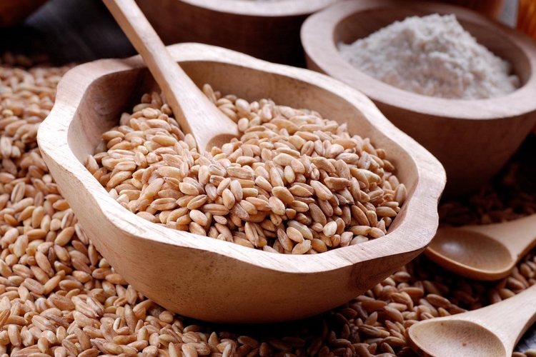 Emmer flour and whole grain contain gluten