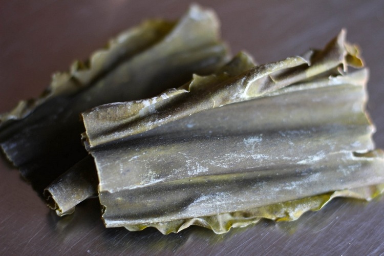 Kelp Blätter dehydriert getrocknet