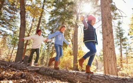 Objekte in alphabetischer Reihenfolge finden fördert die Konzentration bei Kindern