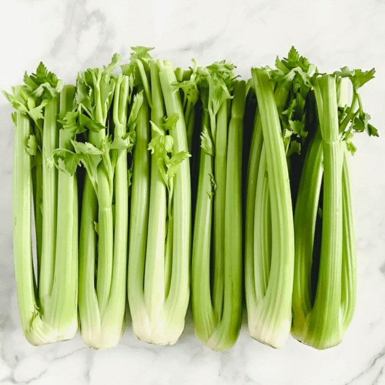 Selleriesaft Wirkung - Vitamine und Nährstoffe im Gemüse verbessern die Gesundheit
