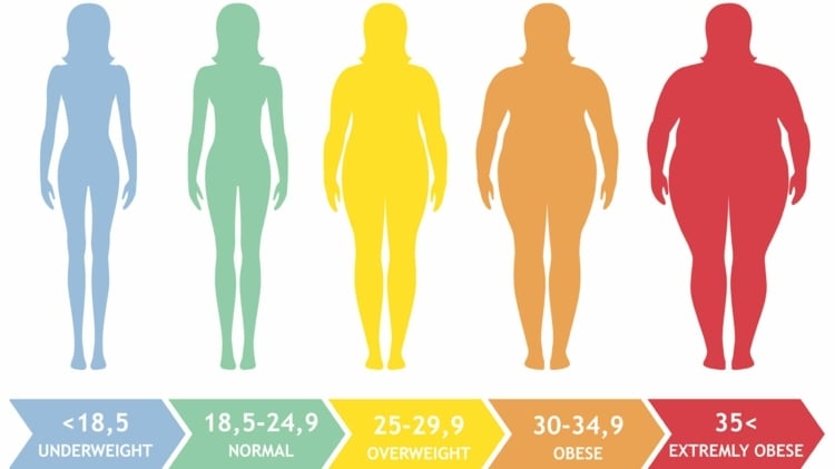 Vegane Ernährung in der Schwangerschaft - Der BMI und gesundes Gewicht