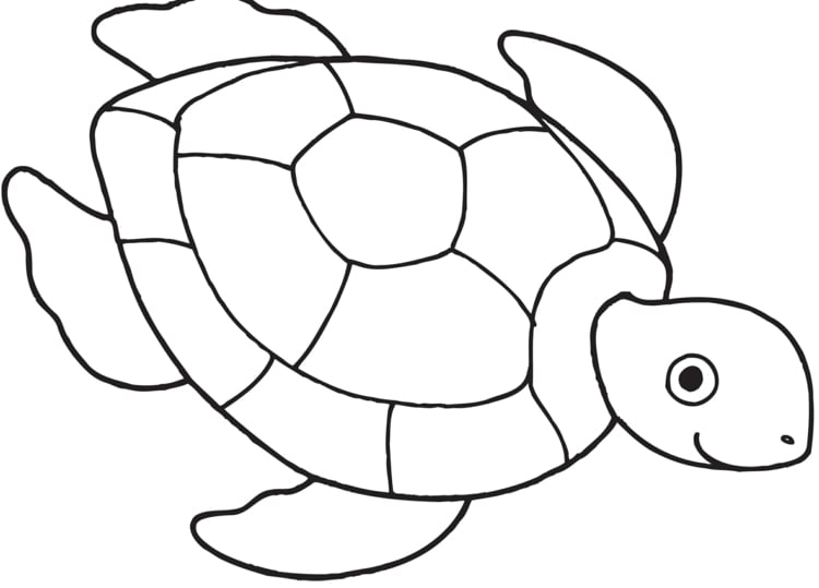 Vorlage zum Ausdrucken für eine Wasserschildkröte