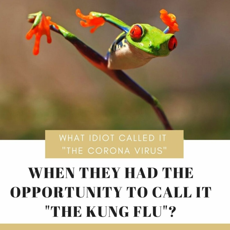 Warum heißt es Corona Virus und nicht Kung Flu - Witzige Sprüche mit Wortspiel auf englisch