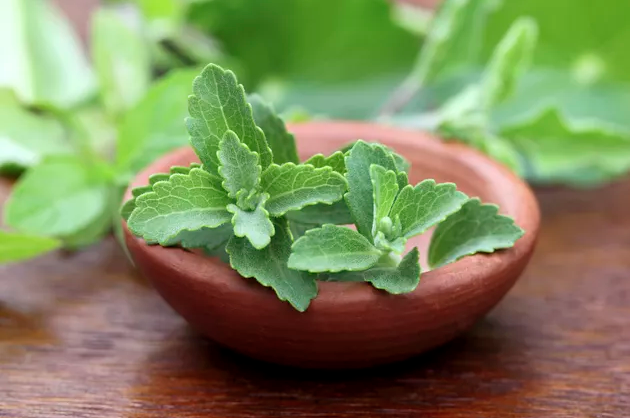 backen mit stevia dosierung statt zucker