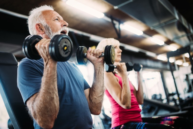 fitness trainingsplan männer ältere senioren mit hanteln im fitnessraum