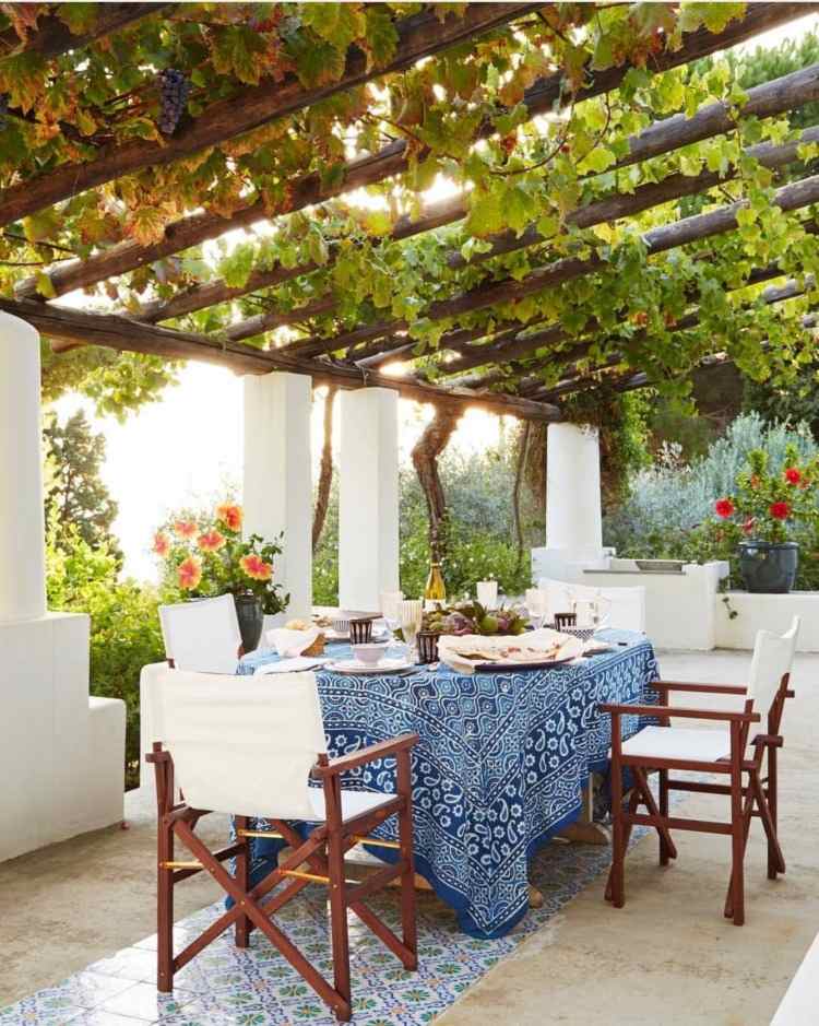 gemütlicher patio bereich terrasse mit weinreben für pergola im sommer