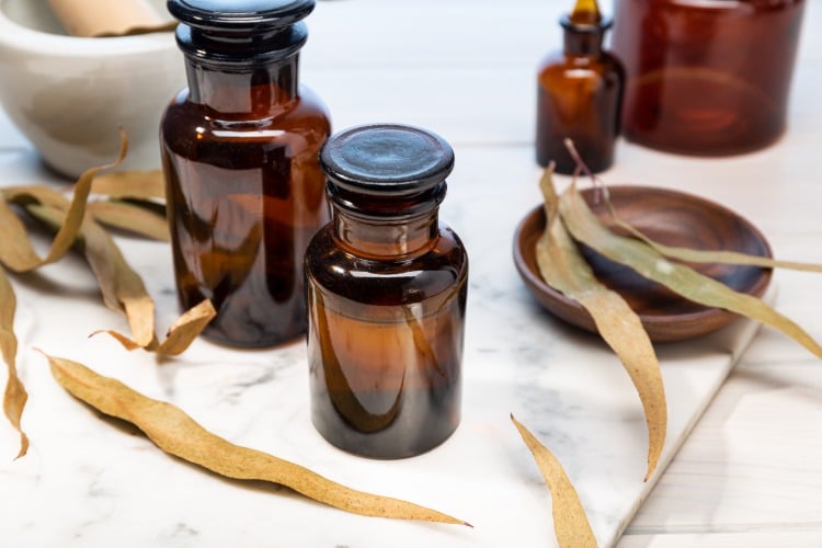 Dried eucalyptus leaves as an extract oil to inhale if you have a cold or flu side effects