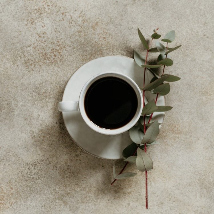 black tea or coffee in cup with branches of eucalyptus tree