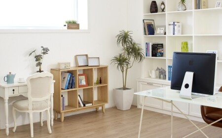 Arbeitszimmer einrichten Homeoffice Gestaltung Ideen für Frauen