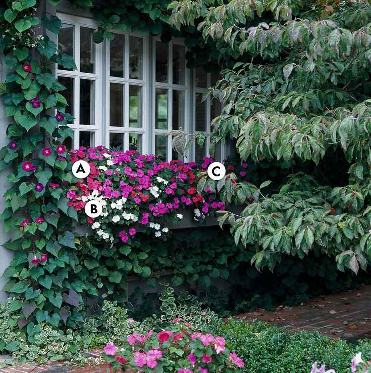 Balkonkasten im Schatten bepflanzen Blumen und Efeu kombinieren