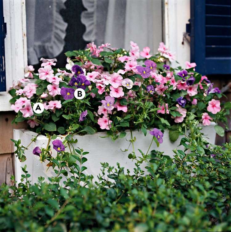 Blumenkasten für Fensterbank außen bepflanzen und Ideen für ganzjährige Arrangements