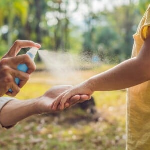 DIY Insektenspray gegen Mücken, Zecken und andere Insekten herstellen