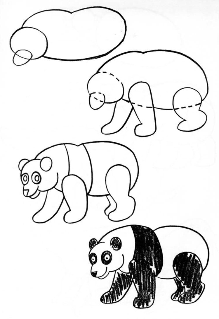 Dschungeltiere selber zeichnen - Schwarz-weißer Panda