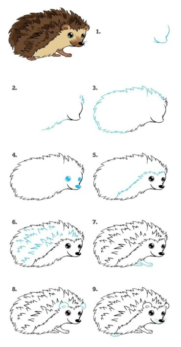 Einheimische Tiere malen - Ein Igel ist sehr einfach für Kinder