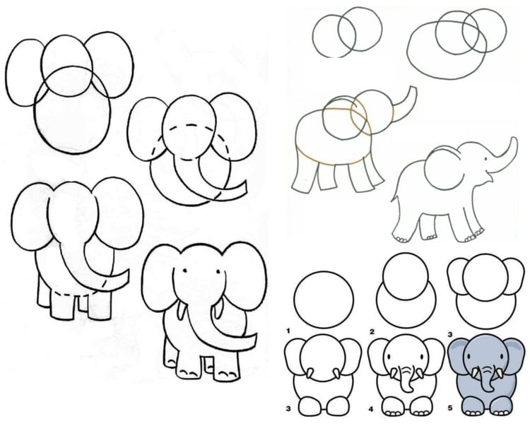 Elefanten werden einfacher gezeichnet, als Sie denken - 3 Anleitungen als Beispiel