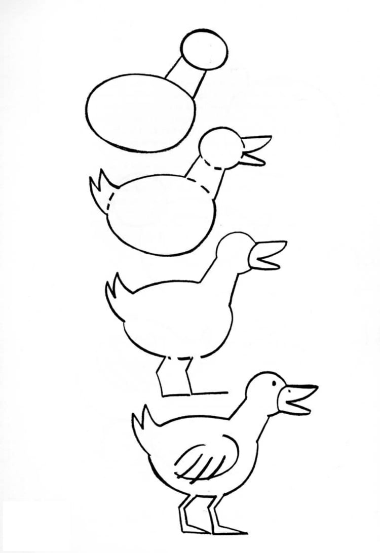Ente auf dem Land zeichnen - Kreise und Ellipsen mit Flügel, Beinen und Schnabel versehen