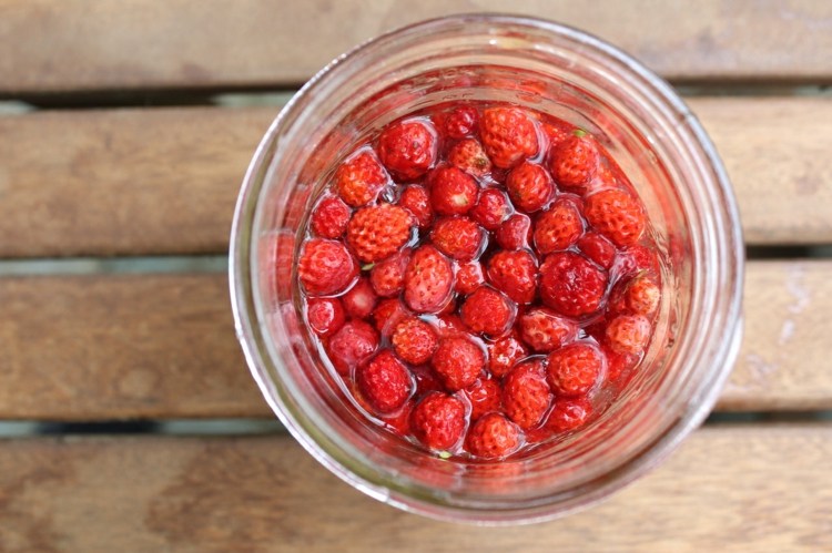 Erdbeeren länger haltbar machen im Einweckglas mit Starterkultur