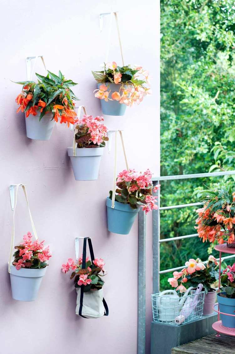Für die Blumenwand für Balkon Haken befestigen und Töpfe mit Bändern aufhängen