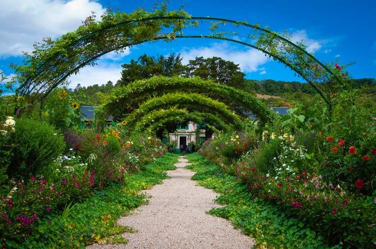 Garten mit Pergola aus Stahl als Baumaterial und Kletterhilfe für Weinrebe