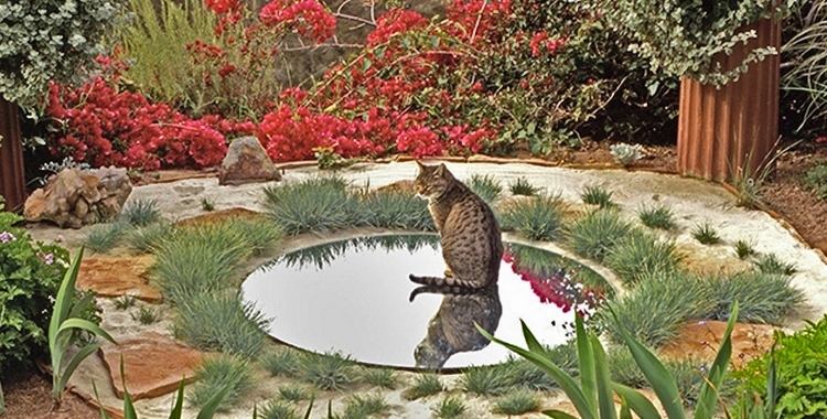 Kiesgarten Ideen mit Gräsern - ein runder Spiegel erzeugt Illusion von Wasser