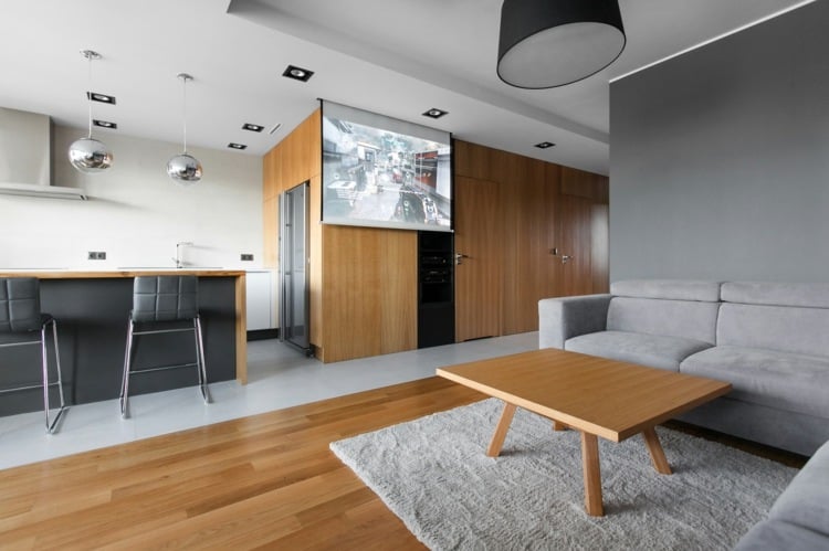 Leinwand zum Ausfahren aus der Decke statt Wohnwand mit Fernseher als platzsparende Lösung