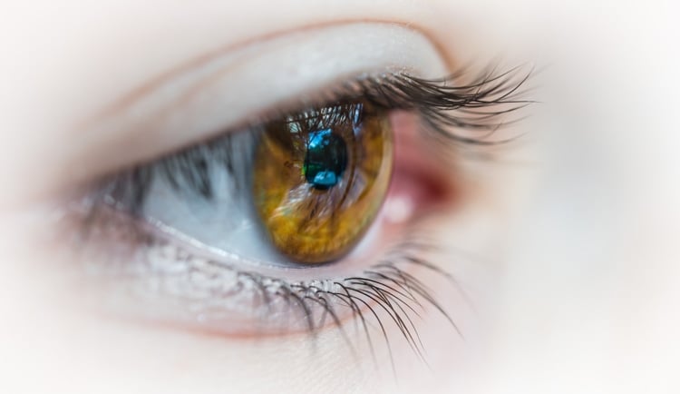 Lutein und Zeaxanthin schützen die Augen vor Blaulicht