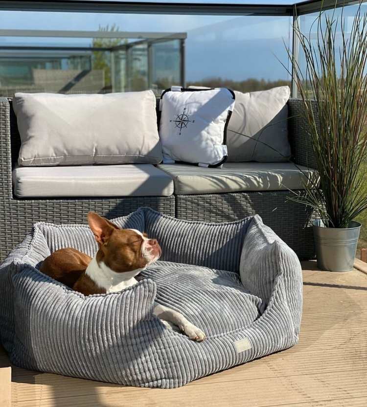 Outdoor Hundebetten Balkon hundefreundlich gestalten Ideen