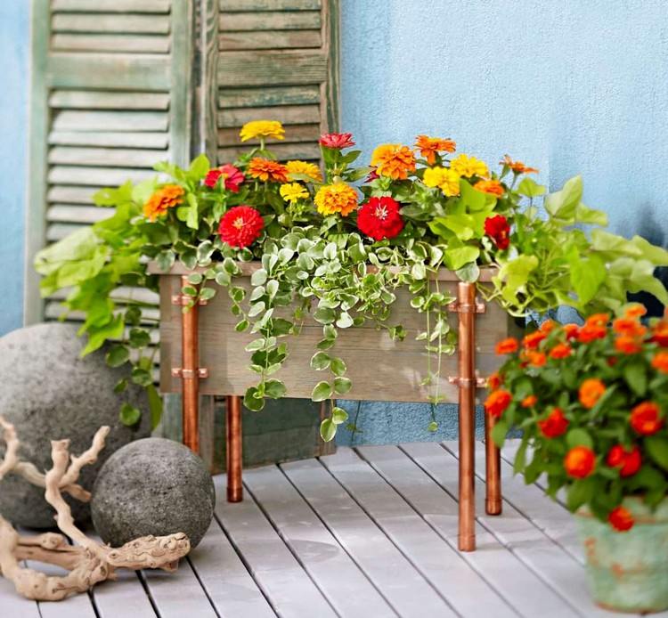 Pfingstrosen und asiatische Lilien in einem Balkonkasten bepflanzen Sommerblumen kombinieren
