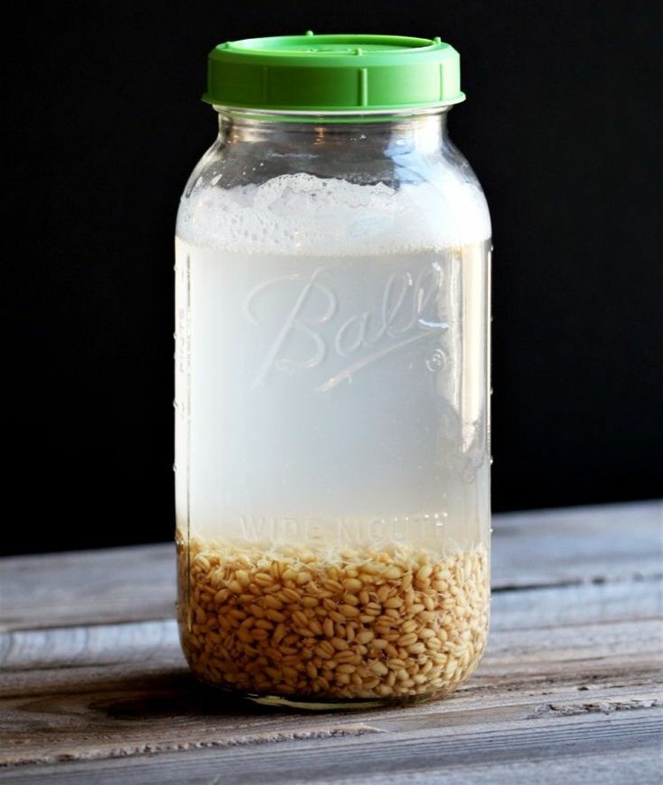 Rejuvelac ist ein probiotisches Getränk, das aus Getreide hergestellt wird