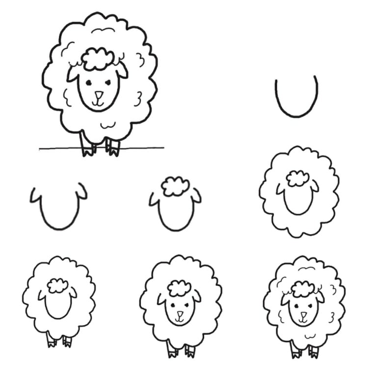 Schaf von vorne mit Wolle - Bauernhof Tiere malen