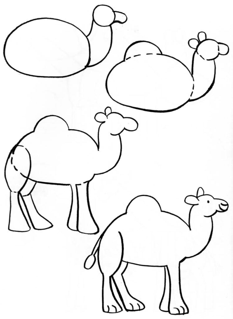 Schnell und einfach ein Kamel malen und einen Zoo zusammenstellen