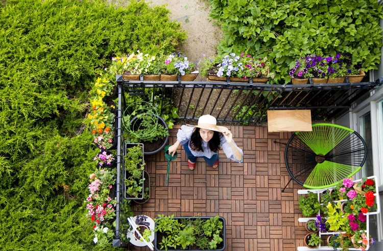 Summer Flowers For The Balcony How To Create A Firework Of Flowers In The Balcony Box Decor Object Your Daily Dose Of Best Home Decorating Ideas Interior Design Inspiration