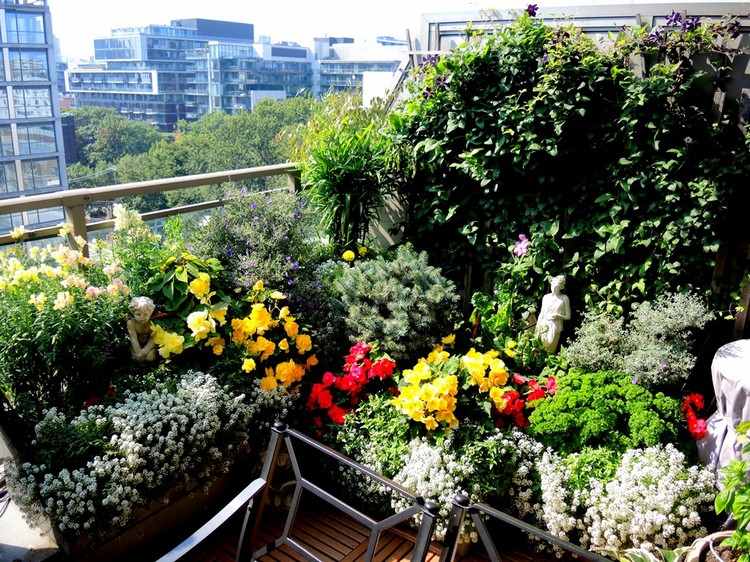 Sommerblumen am Balkon und im Balkonkasten bepflanzen