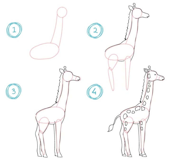 Tiere malen - Giraffe aus Kreisen und Ellipsen zeichnen