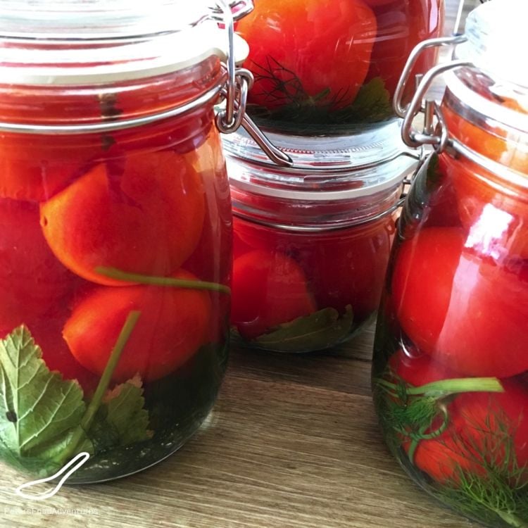 Tomaten fermentieren im Glas - Frischer Geschmack zu jeder Zeit im Jahr