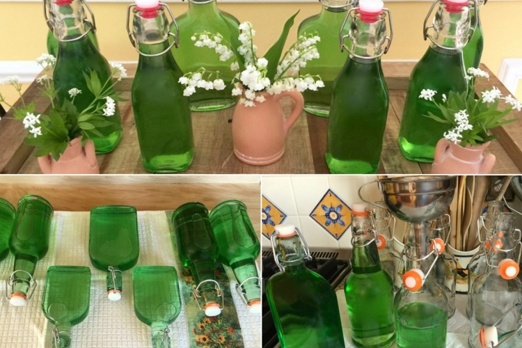 Waldmeister Rezepte für leckeren Kuchen, Sirup und Getränke Waldmeister Rezepte für leckeren Kuchen, Sirup und Getränke