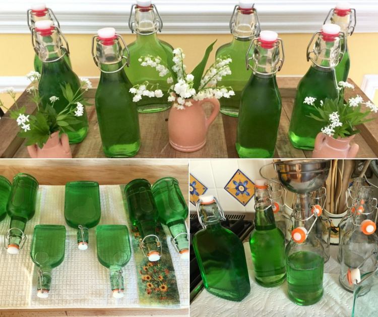 Waldmeister Rezepte für Sirup - In Flaschen aufbewahren und für Soßen und Getränke verwenden