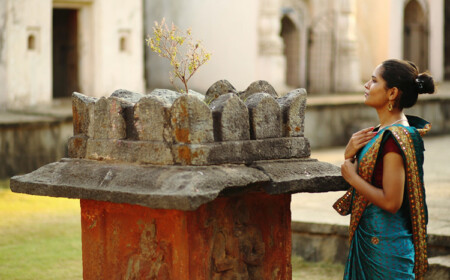 Wirkung von Tulsi Heiliges Basilikum Heilpflanze der Inder