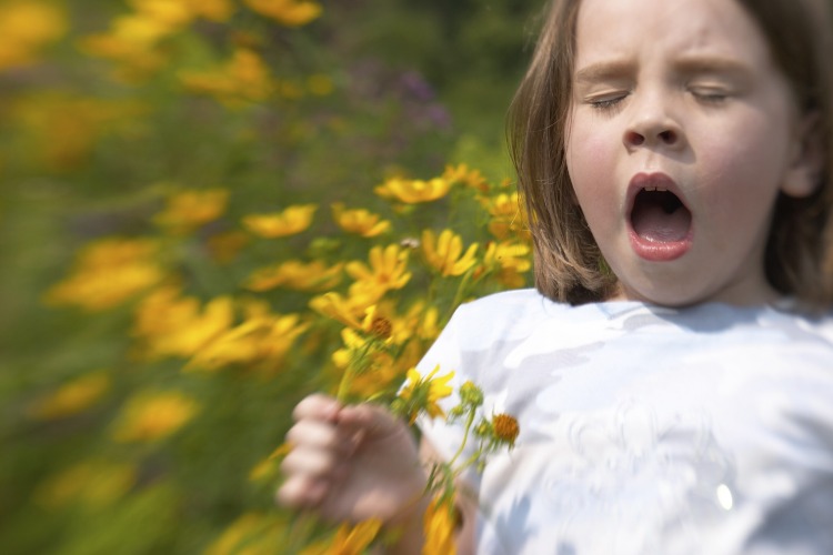 allergie reaktion niesen kind mit blumen echinacea pflanzen in der hand