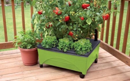 fertiges hochbeet vom baumarkt mit reifen tomaten und blattgemüse auf einer terrasse