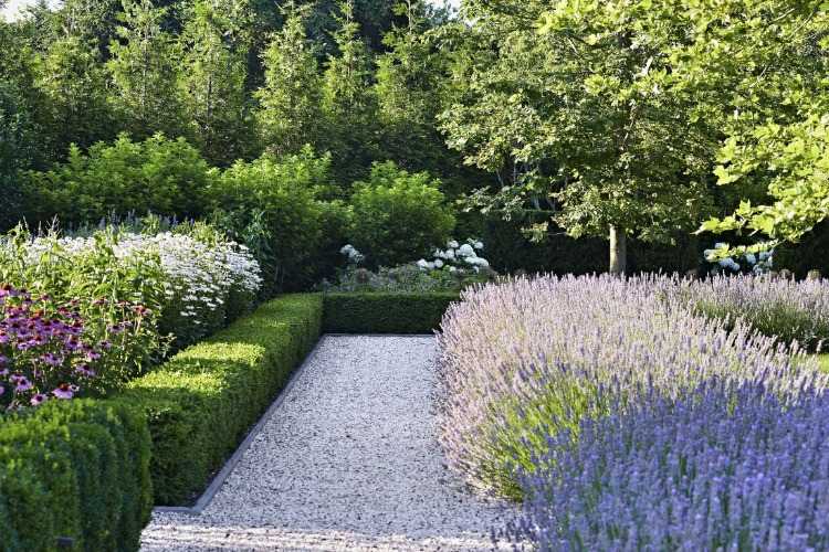 gartenbereich mit kies gartenweg terrassenumrandung pflanzen lavendel und stauden