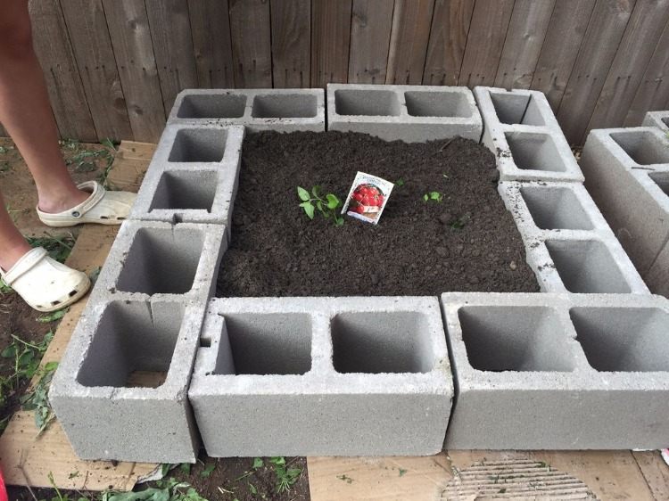 hochbeet für tomaten selber bauen mit betonziegeln und mutterboden samen einpflanzen