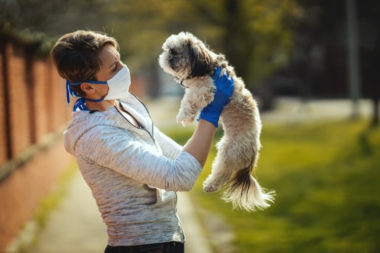 junge frau beim spaziergang mit hund coronavirus vorbeugen schutzmaske tragen